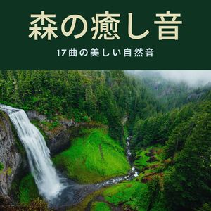 森の癒し音