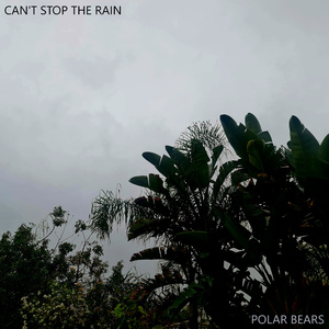 Can't Stop The Rain