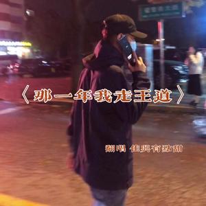 那一年我走王道