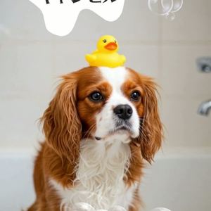 風呂キャンセル（犬の歌） by KOUKA🐕好歌