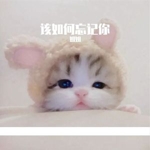 该如何忘记你