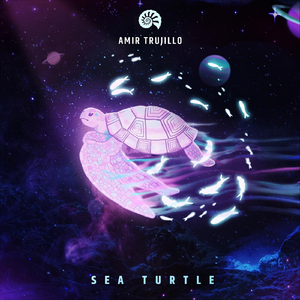 Sea Turtle