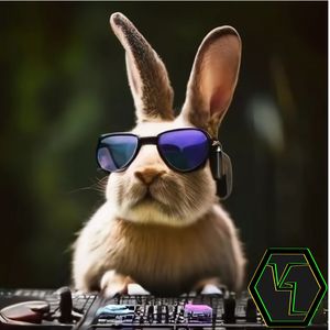 Intro