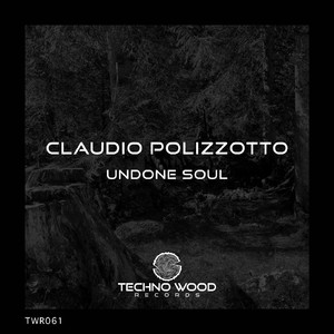 Undone Soul (Original Mix)