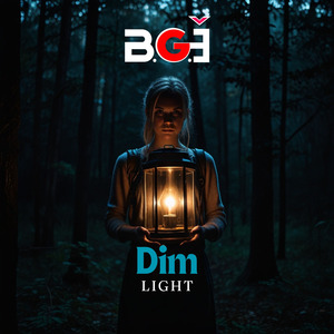 DIM LIGHT