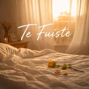 Te fuiste