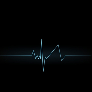 The Last Heartbeat
