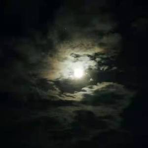 明月夜之钢琴一