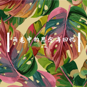 雨巷中的思念与回忆