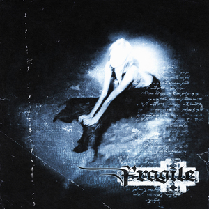 Fragile (Slowed)