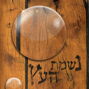 The Music Between Us - המוסיקה שבינינו