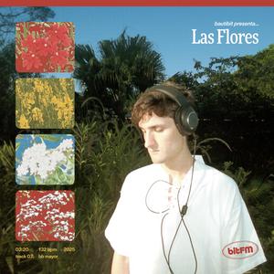 Nunca Supimos Cómo Hablar