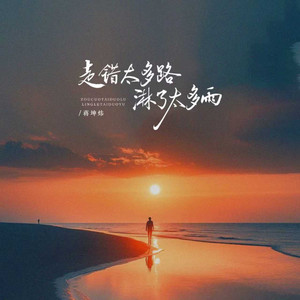 走错太多路淋了太多雨