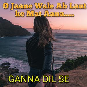 O Jaane wale