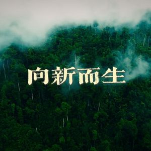 向新而生(wav格式）.wav