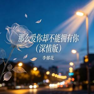 那么爱你却不能拥有你（深情版）