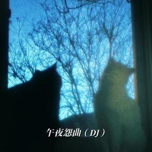 午夜怨曲(DJ)