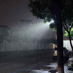 一定要爱你（翻唱）