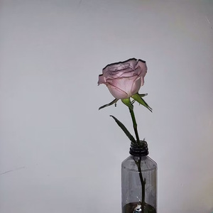 写给你的最后一首情歌 (Original Version)