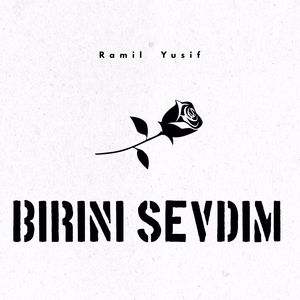 Birini Sevdim