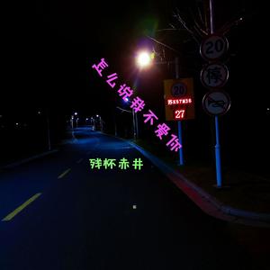 转换_我要怎么说我不爱你