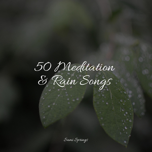 Forest Sounds (Birds)