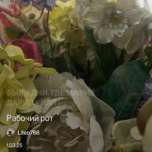 Рабочий рот