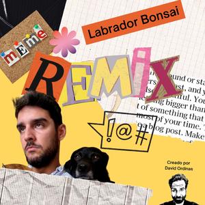 Labrador Bonsai (feat. Jorge Bolaños)