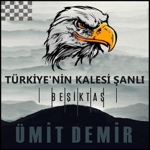 Türkiyenin Kalesi Şanlı Beşiktaş