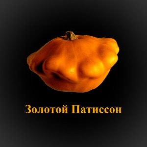 Нига