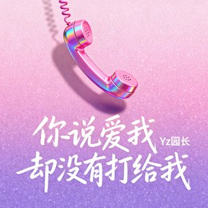你说爱我却没有打给我