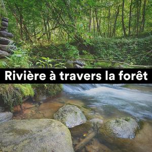 Des souvenirs precieux