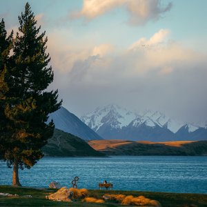 南征北伐这三年(王斩喊麦）