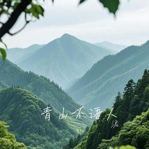 青山不语人