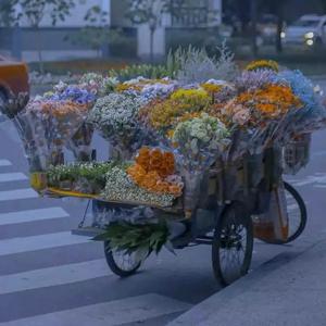 带我走（cover：沈以诚）