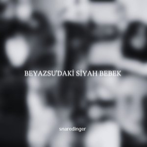 KAYBOLURKEN YILLARIM