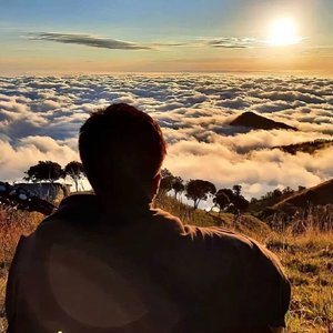 夏焰中的偏爱 (3)_01