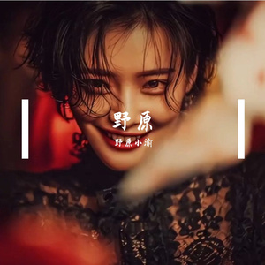 野原（纯音乐）