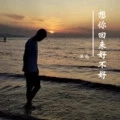 想你回来好不好