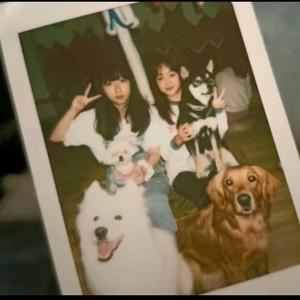 遇见你的时候所有星星都落到我头上MIX