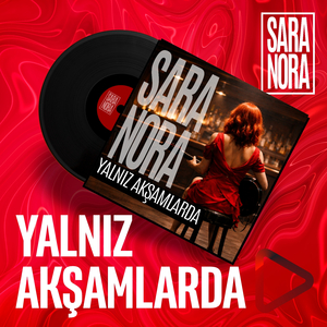 YALNIZ AKŞAMLARDA