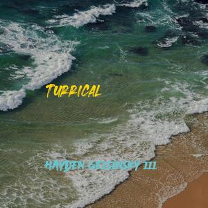 Turrical