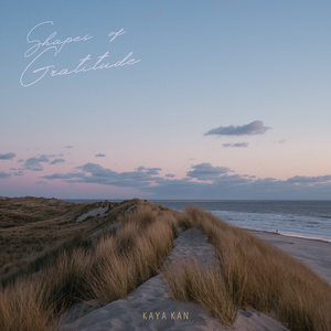 Shapes Of Gratitude