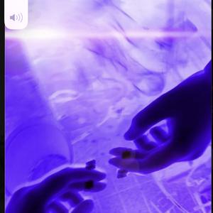 north face (spd up unfin)