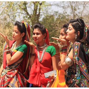 Dhule Rulaye Tharo Ghaghro Adivasi Timli Song