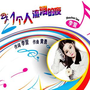 一个人流泪的夜（Dj舞曲）