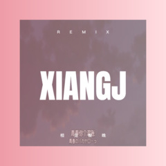 夏雨风荷 (DJ版)