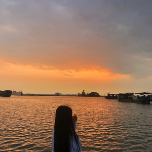 画高峰 (DJ版)（翻自 长春峰）