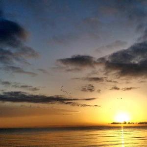 我被你伤害得如此彻底