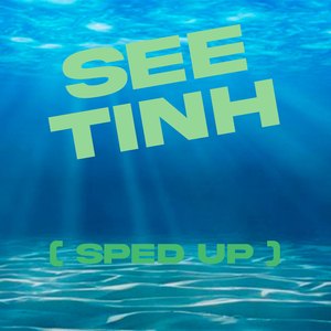 See Tinh (Remix)